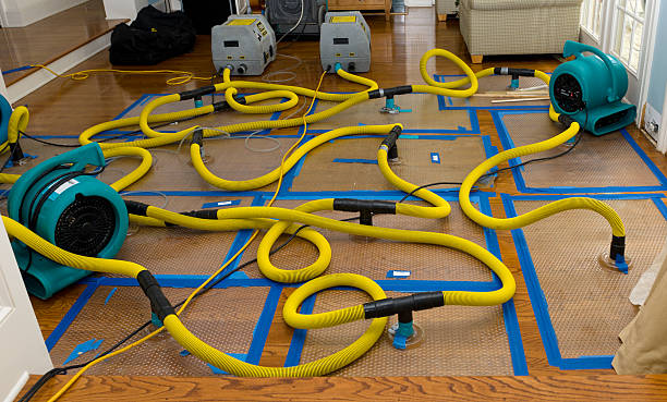 Professional Crawl Space Water Removal technician working in Lee, NH